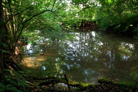 Knobleharjevo 2012 - Fotografski natečaj Občine Škocjan 2012